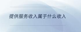 提供服務(wù)收入屬于什么收入