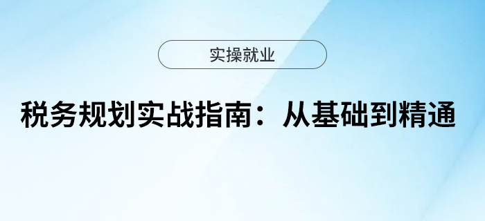 稅務規(guī)劃實戰(zhàn)指南：從基礎到精通