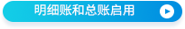 明細賬和總賬啟用