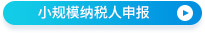 小規(guī)模納稅人申報