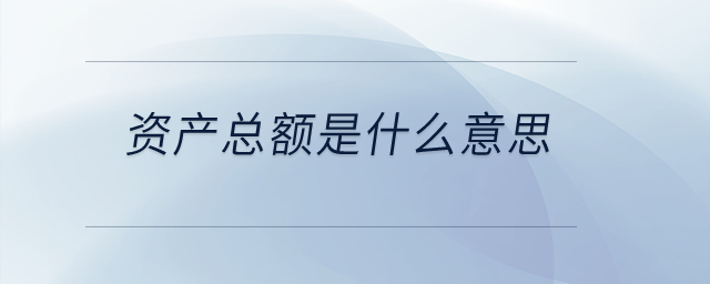 資產(chǎn)總額是什么意思？