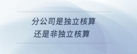 分公司是獨(dú)立核算還是非獨(dú)立核算