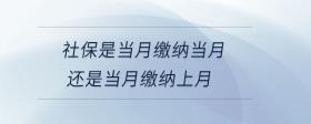 社保是當月繳納當月還是當月繳納上月