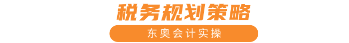 稅務規(guī)劃策略