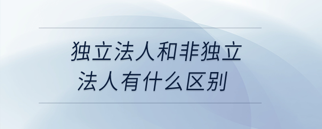 獨(dú)立法人和非獨(dú)立法人有什么區(qū)別？