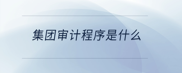 集團審計程序是什么？
