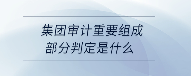 集團(tuán)審計(jì)重要組成部分判定是什么？