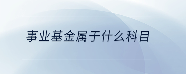 事業(yè)基金屬于什么科目？