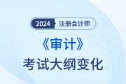 注冊會計師審計大綱變化2024年都有哪些？
