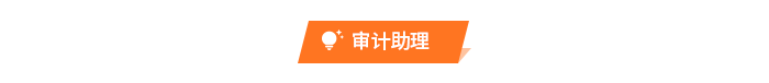 審計(jì)助理