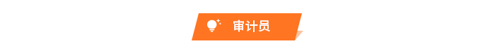審計(jì)員