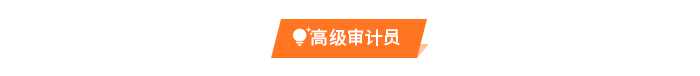 高級(jí)審計(jì)員