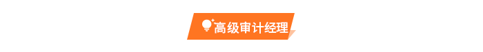 高級(jí)審計(jì)經(jīng)理