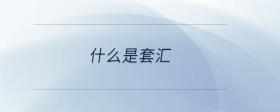 什么是套匯