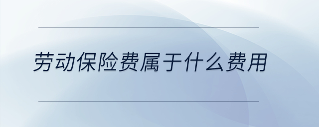 勞動(dòng)保險(xiǎn)費(fèi)屬于什么費(fèi)用？