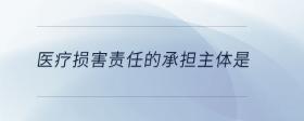 醫(yī)療損害責任的承擔主體是