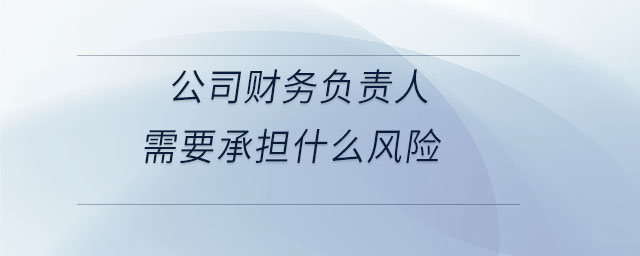 公司財(cái)務(wù)負(fù)責(zé)人需要承擔(dān)什么風(fēng)險(xiǎn)