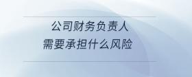 公司財務(wù)負責人需要承擔什么風險