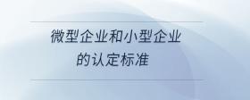 微型企業(yè)和小型企業(yè)的認定標(biāo)準