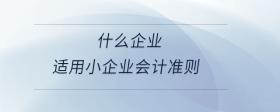 什么企業(yè)適用小企業(yè)會計準則