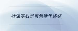 社?；鶖?shù)是否包括年終獎
