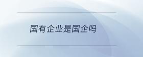 國(guó)有企業(yè)是國(guó)企嗎