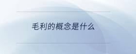 毛利的概念是什么