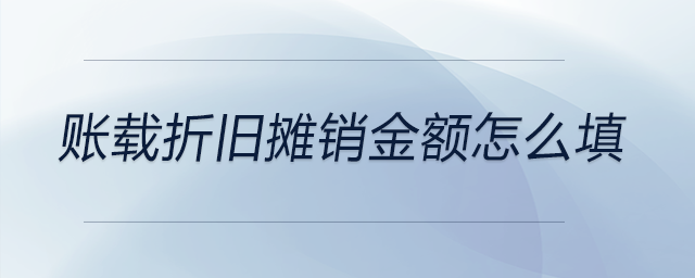 賬載折舊攤銷(xiāo)金額怎么填