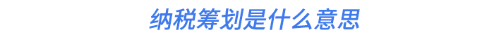 納稅籌劃是什么意思