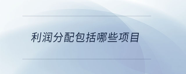 利潤分配包括哪些項目