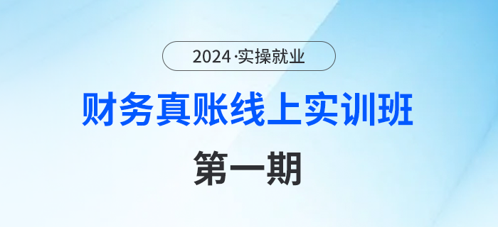 財務(wù)真賬線上實訓(xùn)班---第一期！2周帶你走完會計工作全流程！