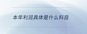 本年利潤(rùn)具體是什么科目