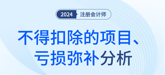不得扣除的項目、虧損彌補-大