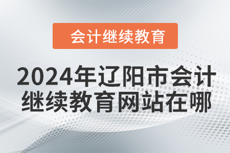2024年遼陽市會(huì)計(jì)人員繼續(xù)教育網(wǎng)站在哪？
