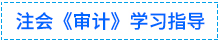 01審計(jì)學(xué)習(xí)指導(dǎo)