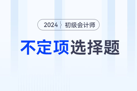 應(yīng)收票據(jù)_2024年《初級(jí)會(huì)計(jì)實(shí)務(wù)》不定項(xiàng)專項(xiàng)練習(xí)
