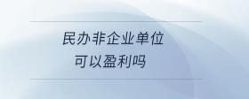 民辦非企業(yè)單位可以盈利嗎
