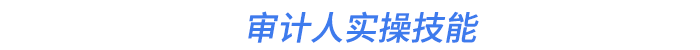審計(jì)人實(shí)操技能