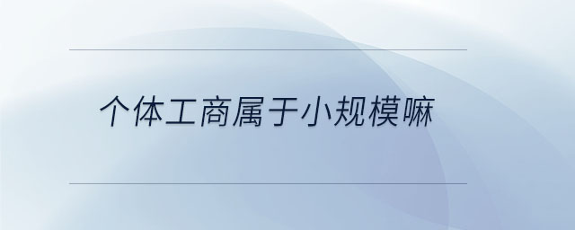個(gè)體工商屬于小規(guī)模嘛