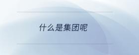 什么是集團(tuán)呢