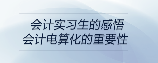 會計實習生的感悟---會計電算化的重要性