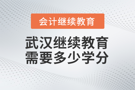 2024年武漢會(huì)計(jì)人員繼續(xù)教育需要多少學(xué)分？