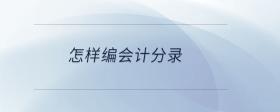 怎樣編會(huì)計(jì)分錄