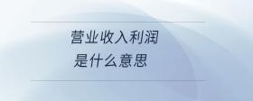 營(yíng)業(yè)收入利潤(rùn)是什么意思