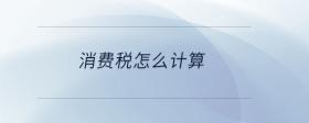 消費(fèi)稅怎么計(jì)算