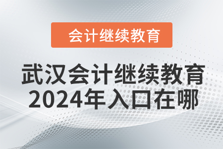 武漢會計(jì)繼續(xù)教育2024年入口在哪？