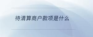 待清算商戶款項(xiàng)是什么