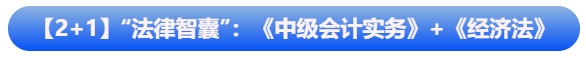 【2+1】“法律智囊”組合：《中級會計實務》+《經濟法》