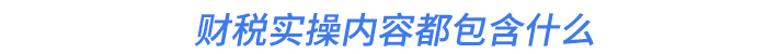 財(cái)稅實(shí)操內(nèi)容都包含什么