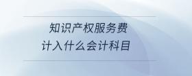 知識產(chǎn)權(quán)服務(wù)費計入什么會計科目
